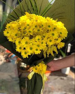 Bahar Manzarası Sarı Papatyalar nin resmi