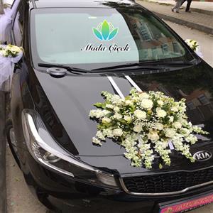 Beyaz Gelin Arabası nin resmi