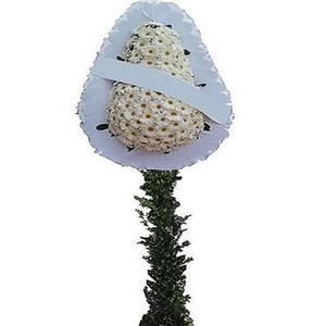 Beyaz Gerbera Düğün ve Açılış  Çiçeği nin resmi