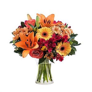 Cazibeli Güzellik Renkli Aranjman nin resmi