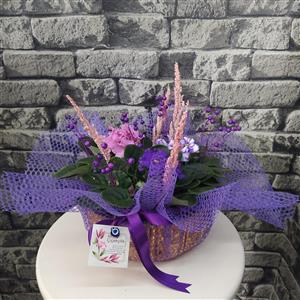 Cennet Bahçesi Menekşe Sepeti nin resmi