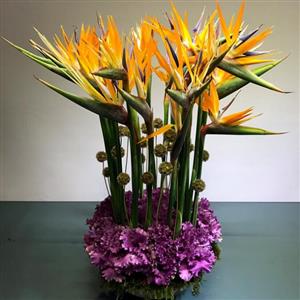 Cennet Kuşu Starliçeli Aranjman nin resmi