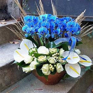 Derinlerdeki Sevgi 8 Dallı Mavi Orkideli Aranjman nin resmi