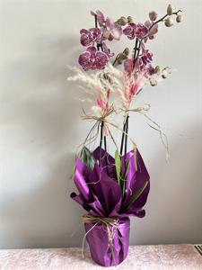 Desenli Çift Dallı Orkide nin resmi