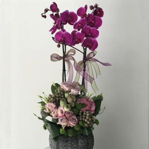 Doğrudan Kalbe 2 Dallı Fuşya Orkideli Aranjman nin resmi