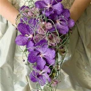 Gelin Buketleri nin resmi