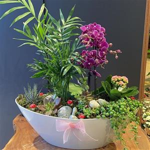 Gizli Bahçe Teraryum nin resmi