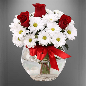 Gülümset Papatya ve Gül Aranjmanı nin resmi