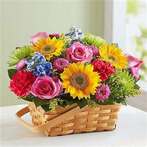 Güneşli Bahçe Sepeti Gül, Gerbera, Kasımpatı ve Kır Çiçekleri Aranjmanı nin resmi