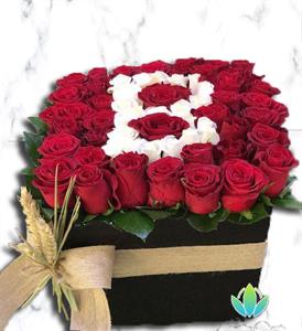 Hayatımın Işığı İsme Özel Kutuda Güller nin resmi