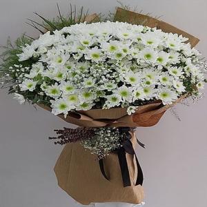 Kendinden Emin Papatyalar nin resmi