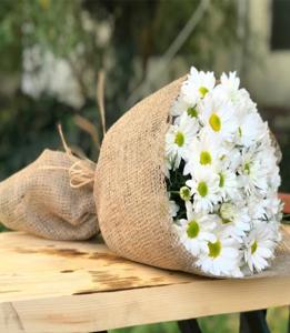 Kucak Dolusu Papatya nin resmi