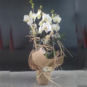 Kusursuz  3 Dallı Beyaz Orkide nin resmi