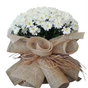 Kır Çiçekleri Buketi nin resmi