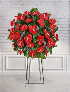 Kırmızı Antoryum Ferforje nin resmi