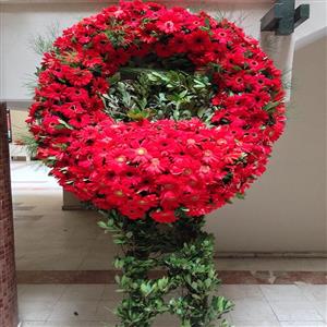 Kırmızı Cenaze Çelengi nin resmi