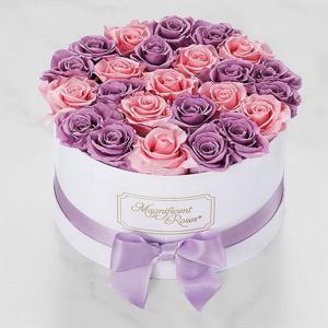 Magnificent Roses Mor ve Pembe Güller nin resmi