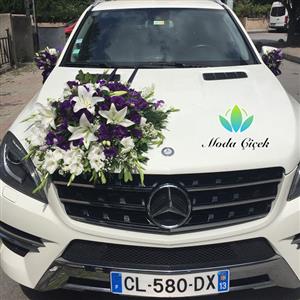 Mor ve Beyaz Gelin Arabası VIP nin resmi