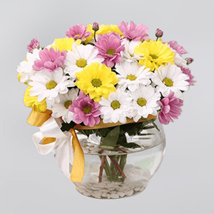 Mutlu Günler Cam Fanusta Kır Çiçekleri nin resmi