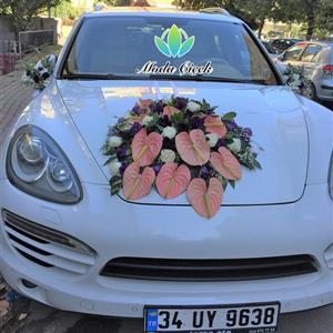 Pembe Gelin Arabası nin resmi