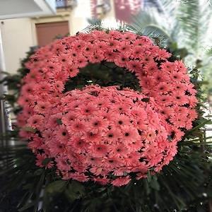 Pembe Gerberalardan Cenaze Çelengi nin resmi