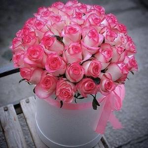 Pembe Yapraklar Kutuda Pembe Güller nin resmi