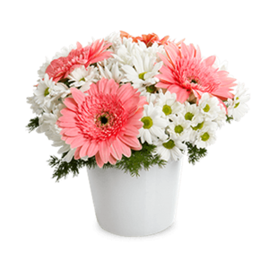 Pembe ve Tatlı Gerbera ve Kır Çiçekleri Aranjmanı nin resmi