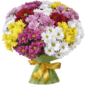 Renkli Papatya Buketi nin resmi