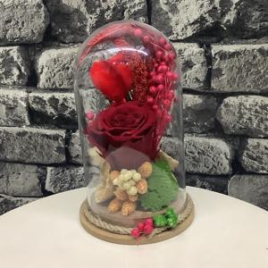 Solmayan Aşk nin resmi