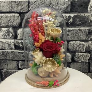 Solmayan Gül Teraryumu nin resmi