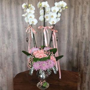 Tatlı Kucaklama 3 Dallı Beyaz Orkide Aranjmanı nin resmi
