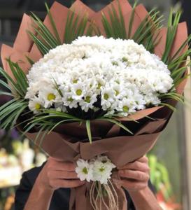 Tatlı Sürpriz Beyaz Papatyalar nin resmi