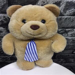 Tecrübeli Ayıcık nin resmi