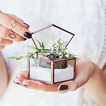 5fd1f678d97249b7f11e9a01