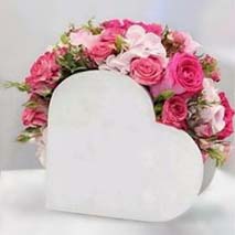 5fd1f678d97249b7f11e9a01