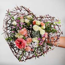 5fd1f678d97249b7f11e9a01