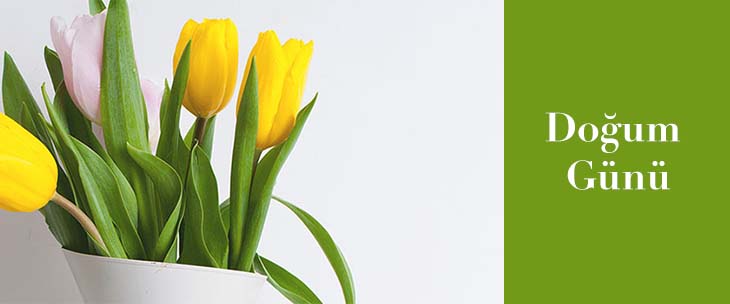 5fd1f678d97249b7f11e9a01