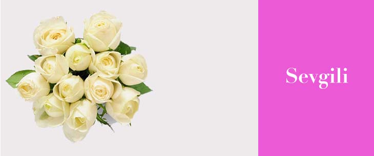 5fd1f678d97249b7f11e9a01