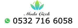 Moda Çiçek