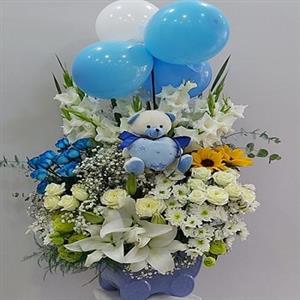 Erkek Bebek Arajmanı