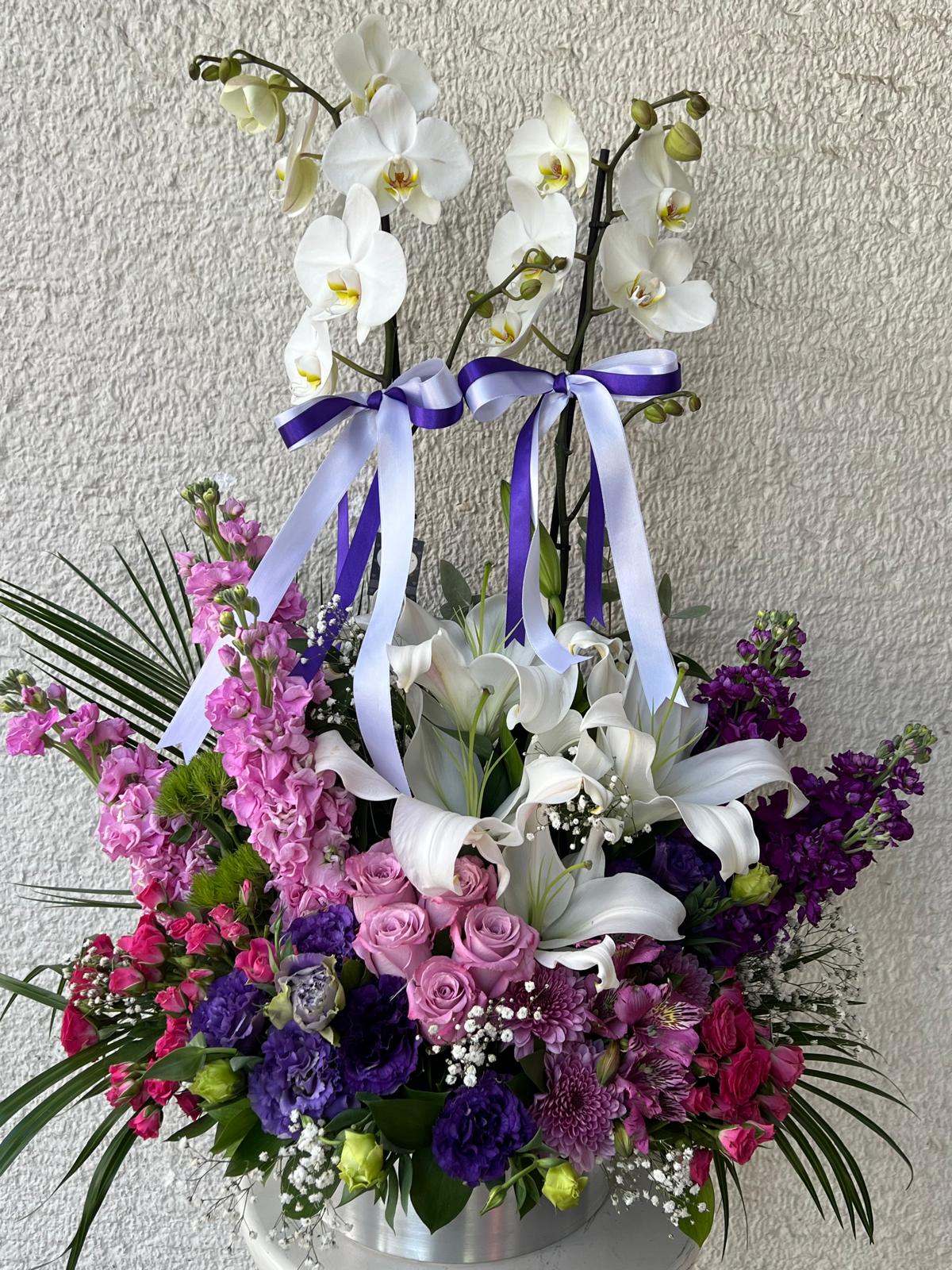 renkli çiçekli orkide aranjmanı