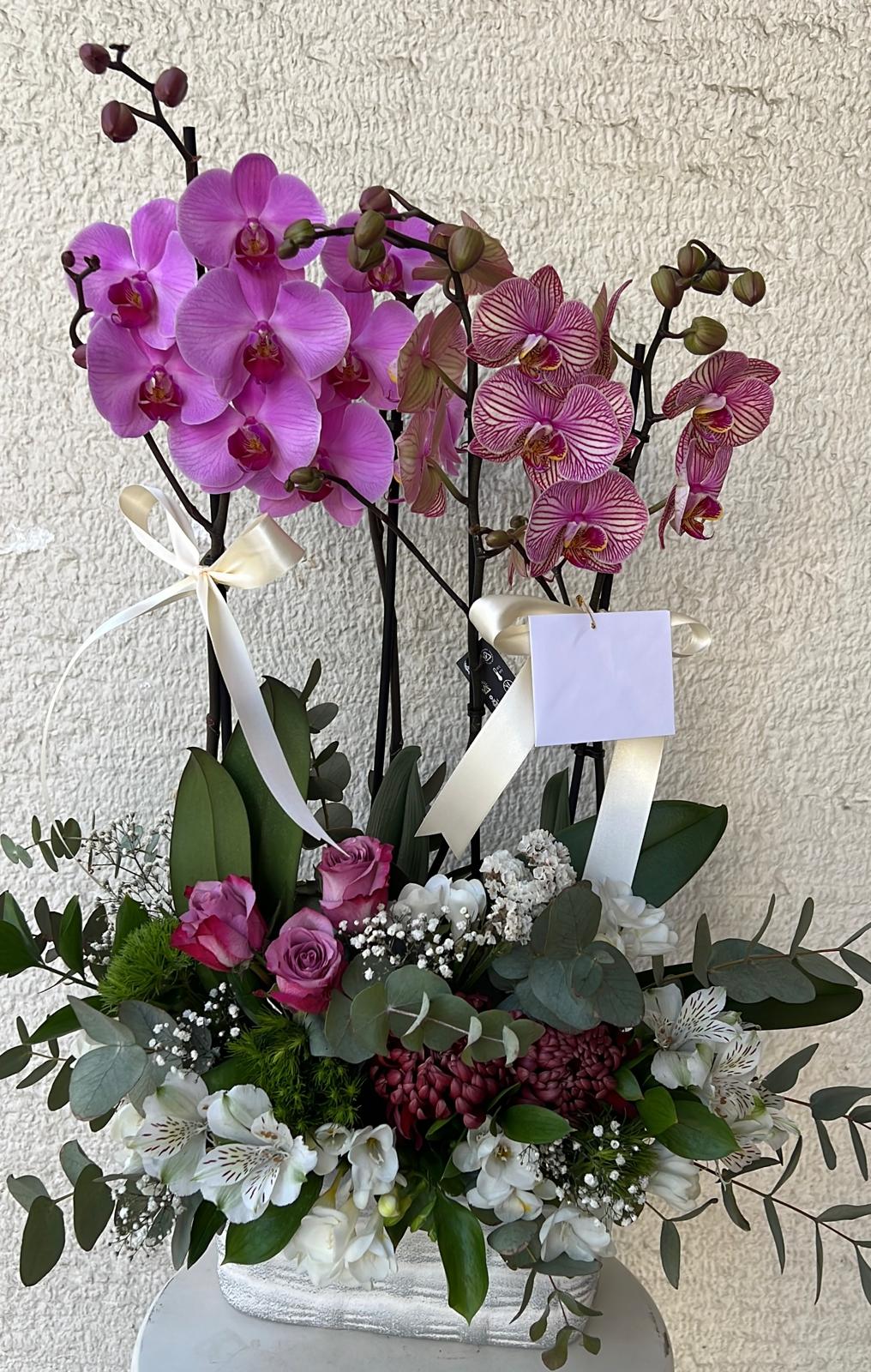 mor tonlarda orkide aranjmanı
