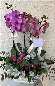 mor tonlarda orkide aranjmanı