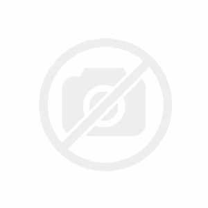 Pembe Spidium Orkide nin resmi